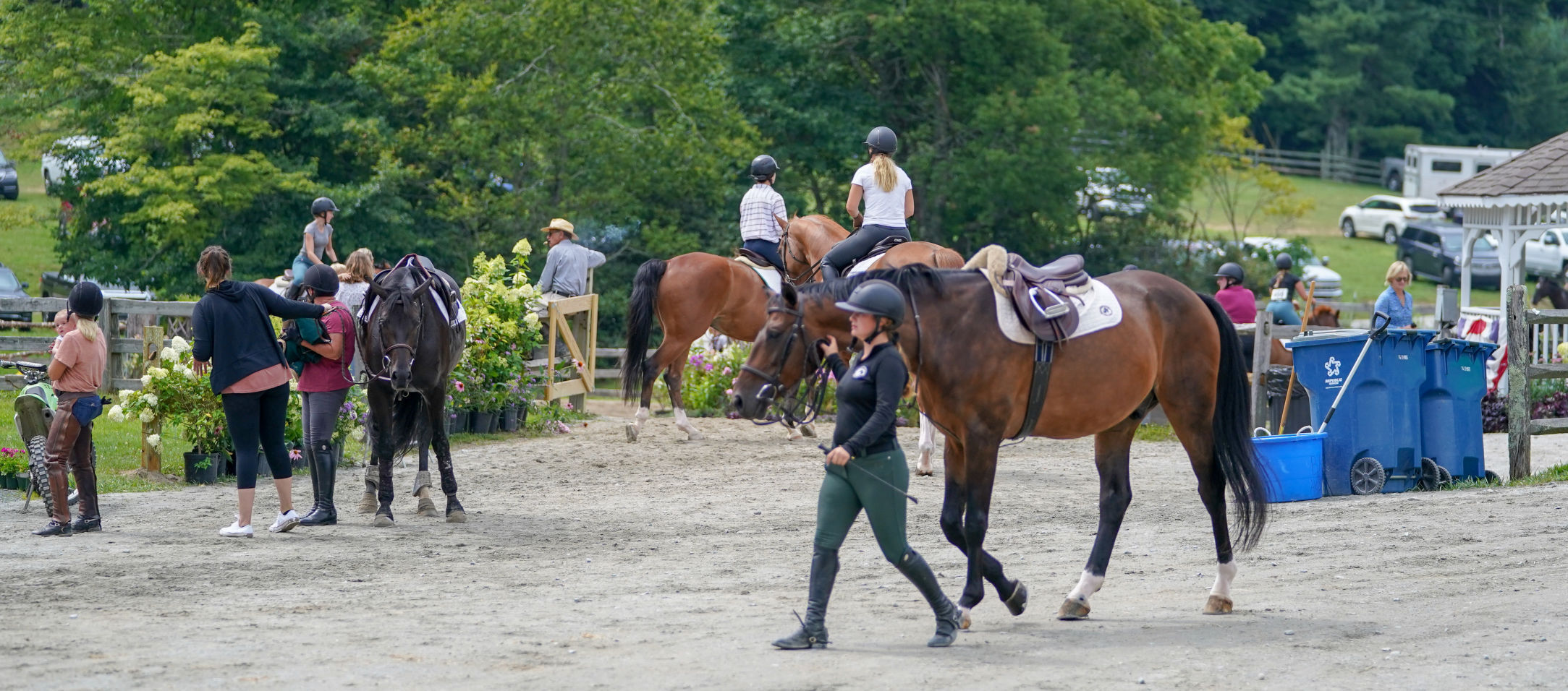 Busy, busy, busy at horse show grounds